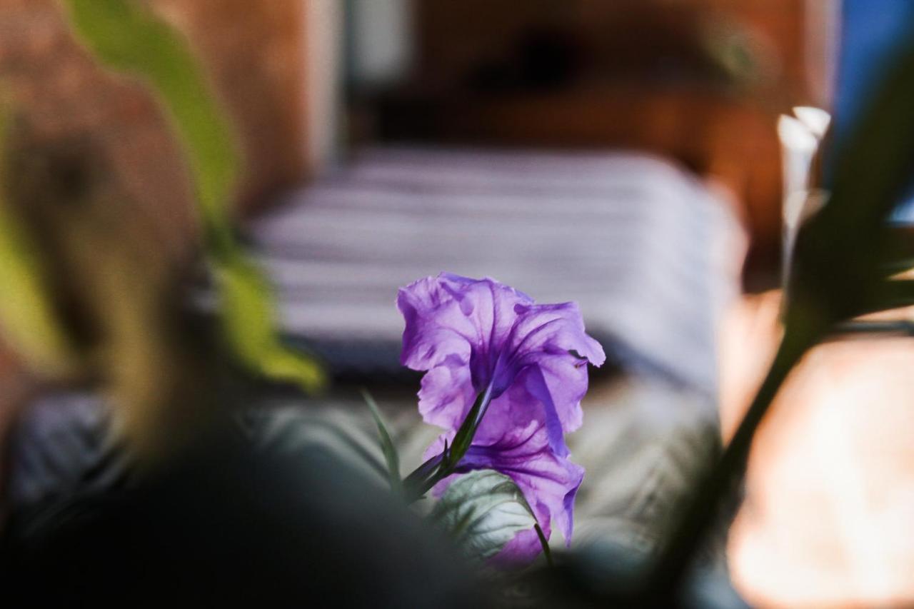 Casa Ka'A Hostel أوباتوبا المظهر الخارجي الصورة